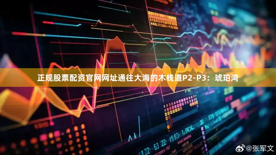 正规股票配资官网网址通往大海的木栈道P2-P3：琥珀湾